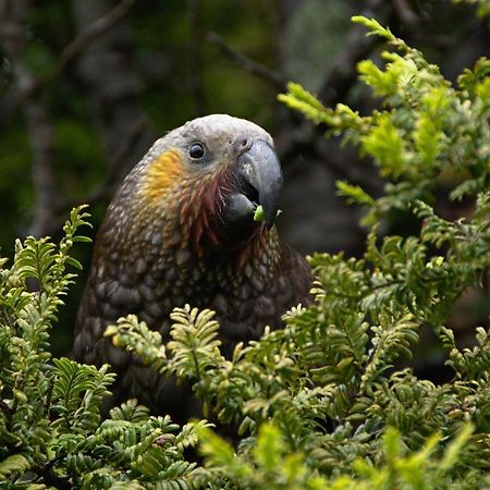 Kaka Retreat Motel, Stewart Island Half-moon Bay Екстериор снимка